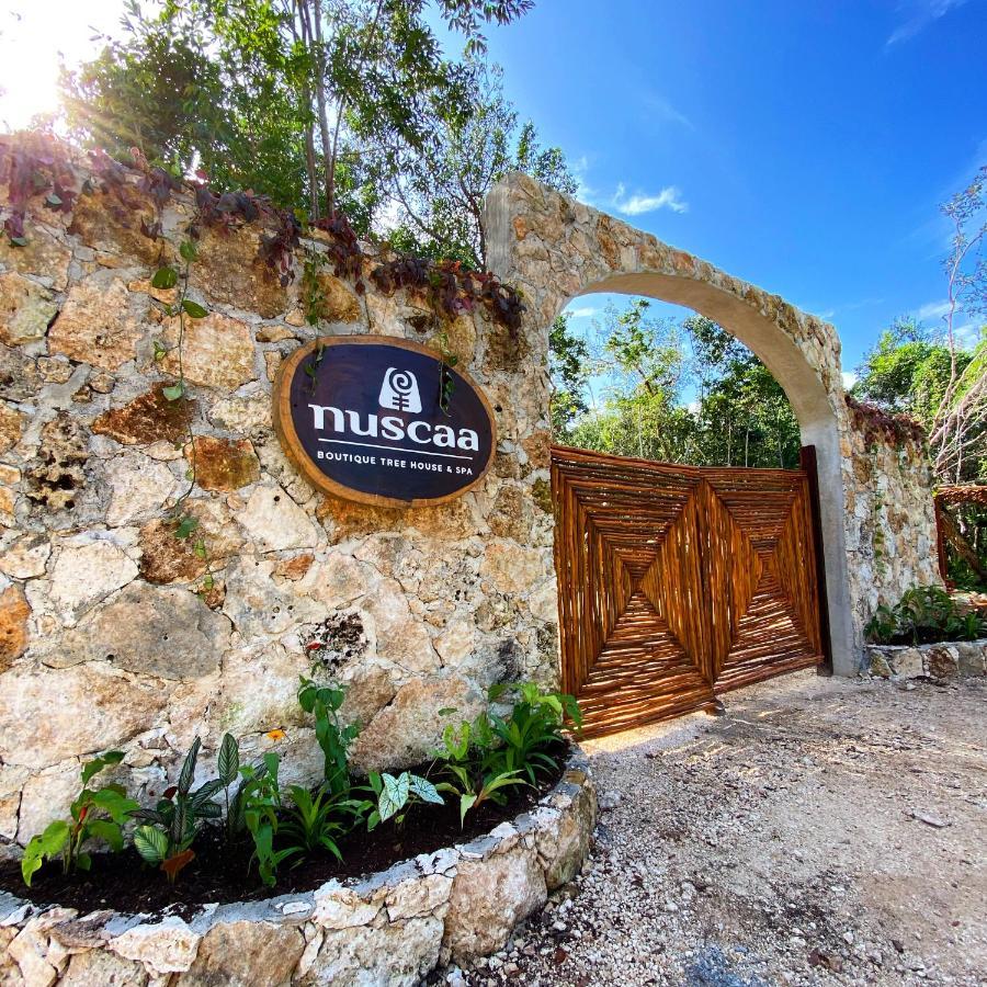 Готель Nuscaa Boutique Tree House & Spa Пуерто-Морелос Екстер'єр фото